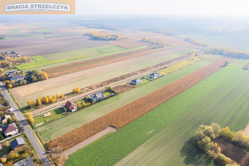 Działka budowlana na sprzedaż Nowe Faszczyce  16 700m2 Foto 8