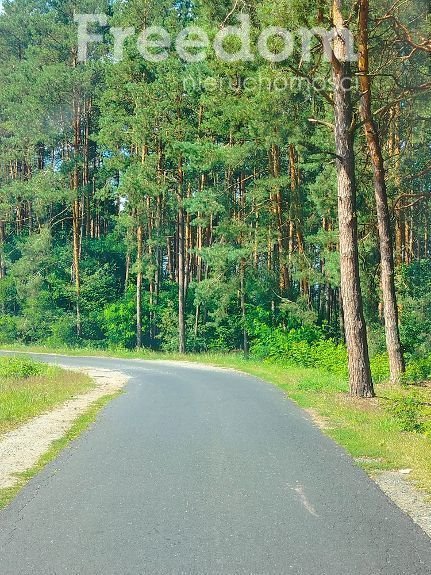 Działka budowlana na sprzedaż Osiek  1 623m2 Foto 10