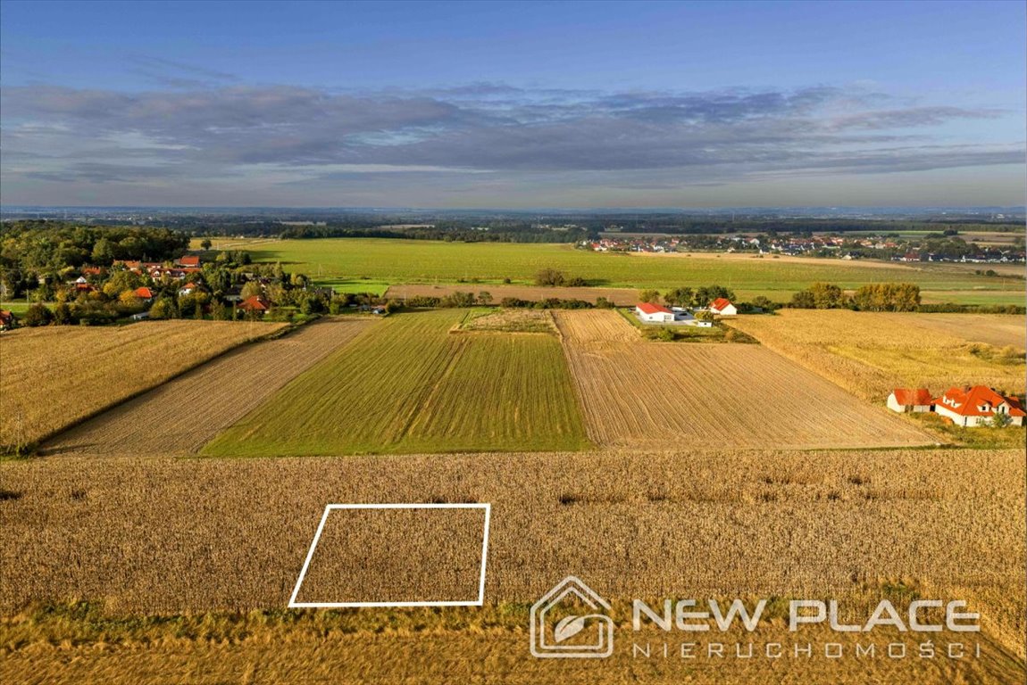 Działka budowlana na sprzedaż Brzezina, Lawendowa  1 003m2 Foto 5