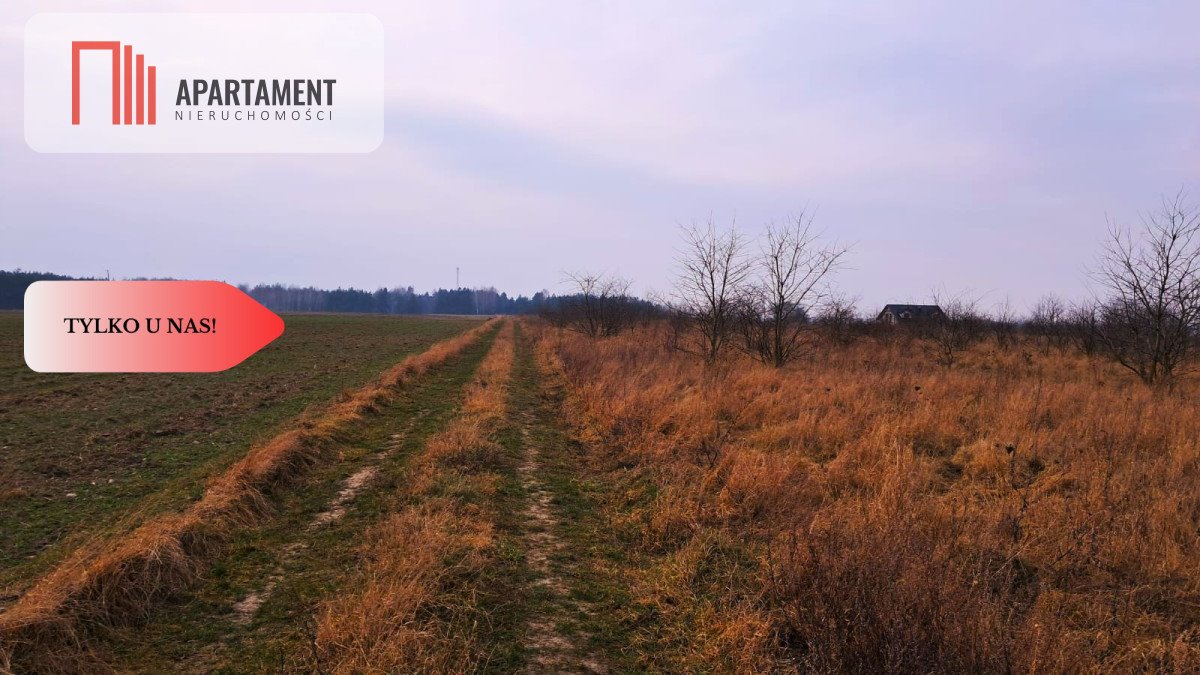Przestronna działka 5000 m² z warunkami zabudowy - zapraszam Józefkowo  5 290m2 Foto 1