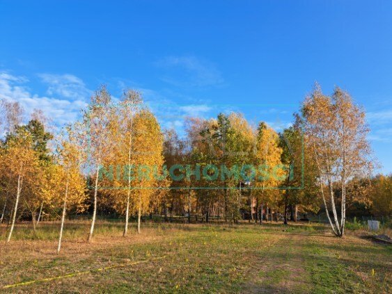 Dom na sprzedaż Podlasie  87m2 Foto 8