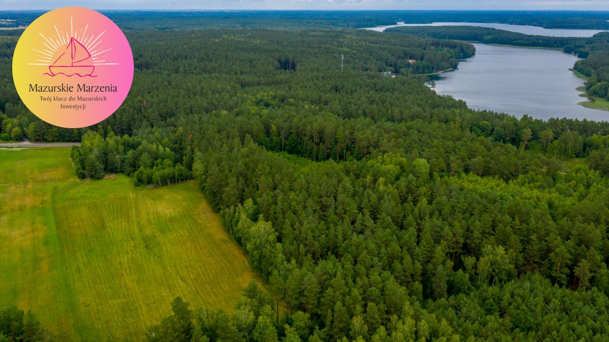 Działka budowlana na sprzedaż Łutynowo  2 300m2 Foto 4