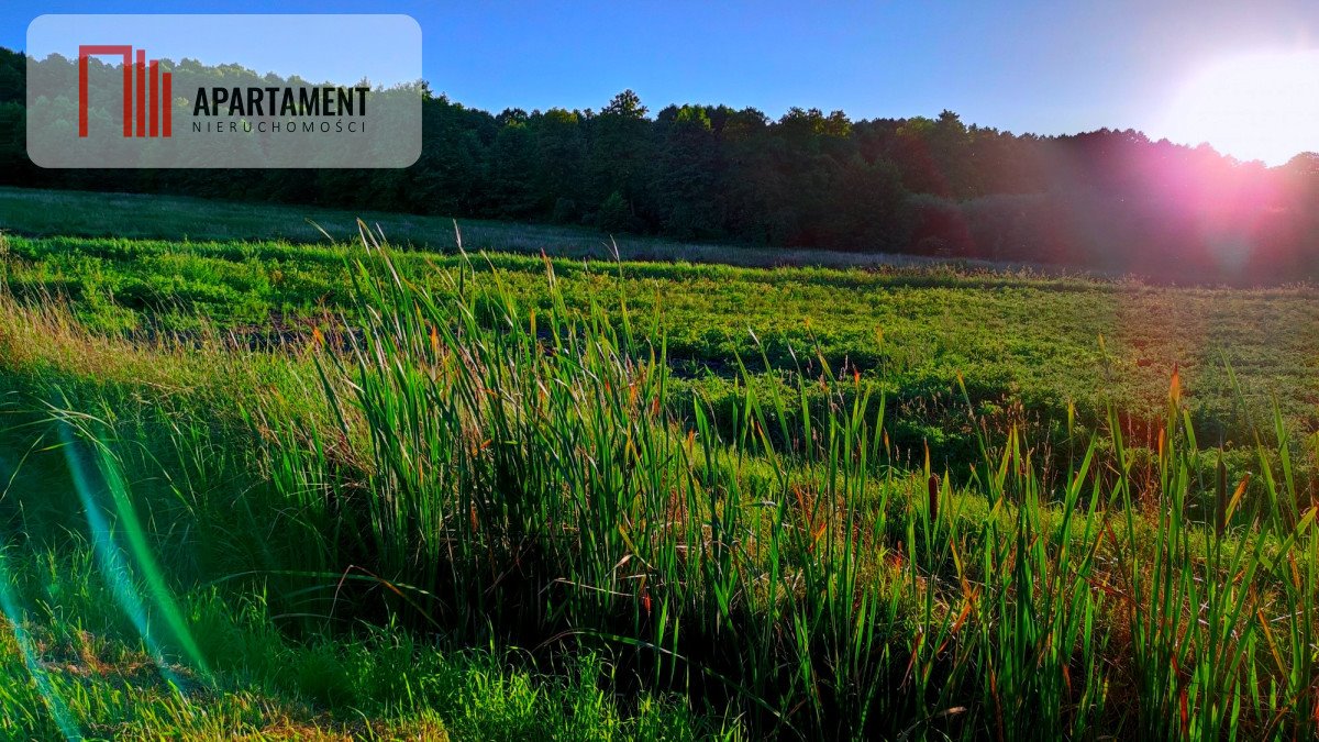 Działka gospodarstwo rolne na sprzedaż Zielonczyn  6 100m2 Foto 1