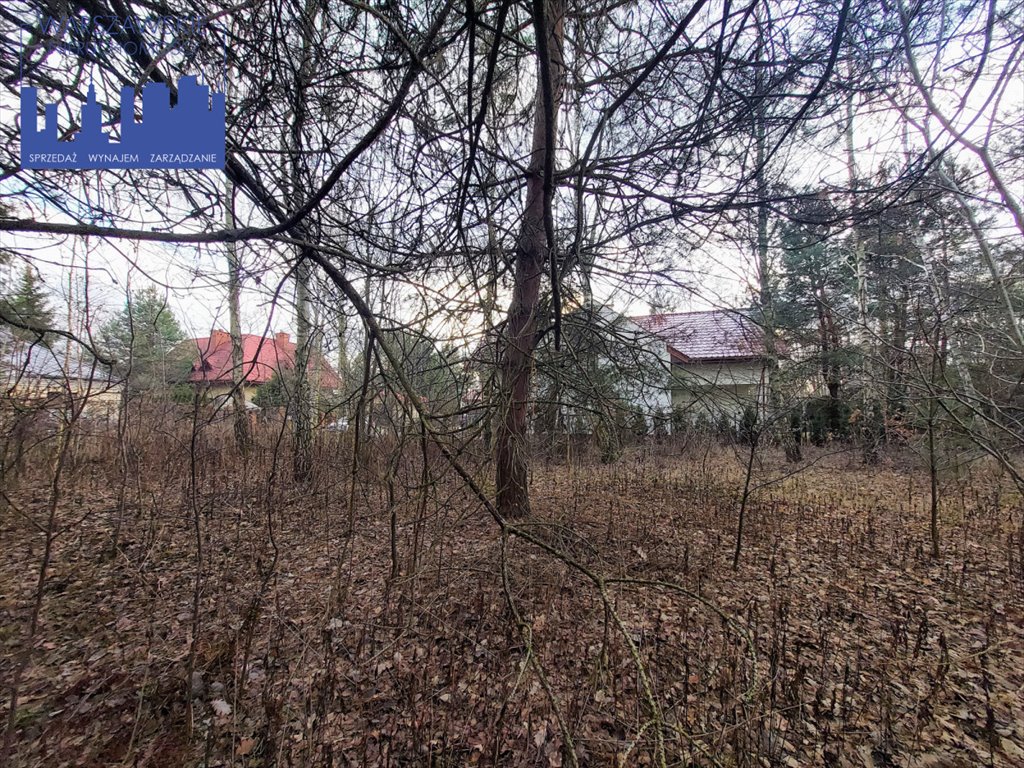 Działka budowlana na sprzedaż Borowina, Zaleśna  1 129m2 Foto 9