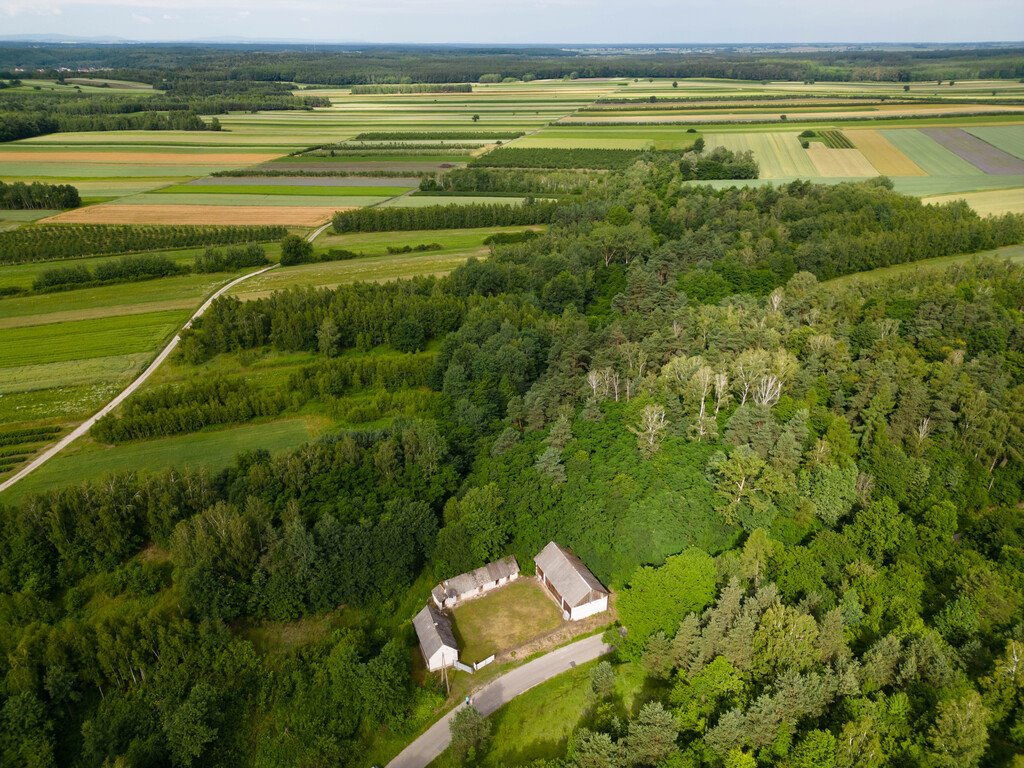 Działka budowlana na sprzedaż Okół  3 916m2 Foto 4