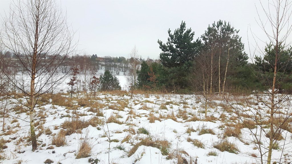 Działka budowlana na sprzedaż Chwaszczyno  900m2 Foto 2