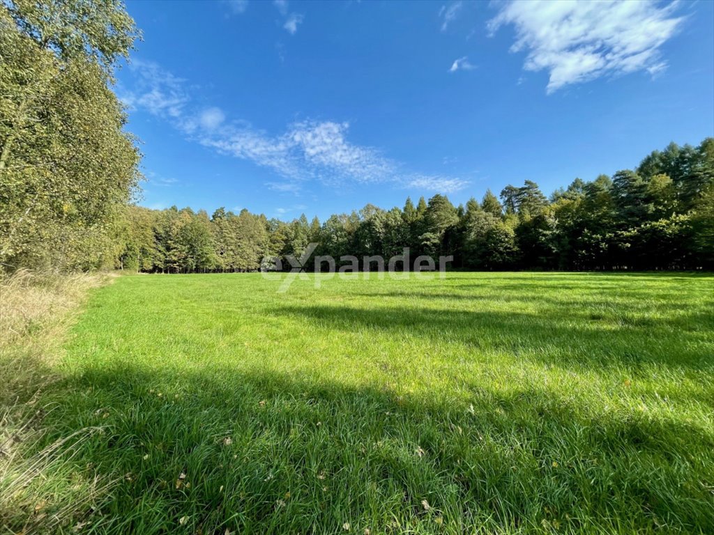 Działka inwestycyjna na sprzedaż Chybie, św. Huberta  20 487m2 Foto 3
