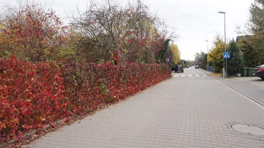 Mieszkanie czteropokojowe na sprzedaż Plewiska, Północna 116m2 Foto 1 Mieszkanie czteropokojowe na sprzedaż Plewiska, Północna 116m2 Foto 1