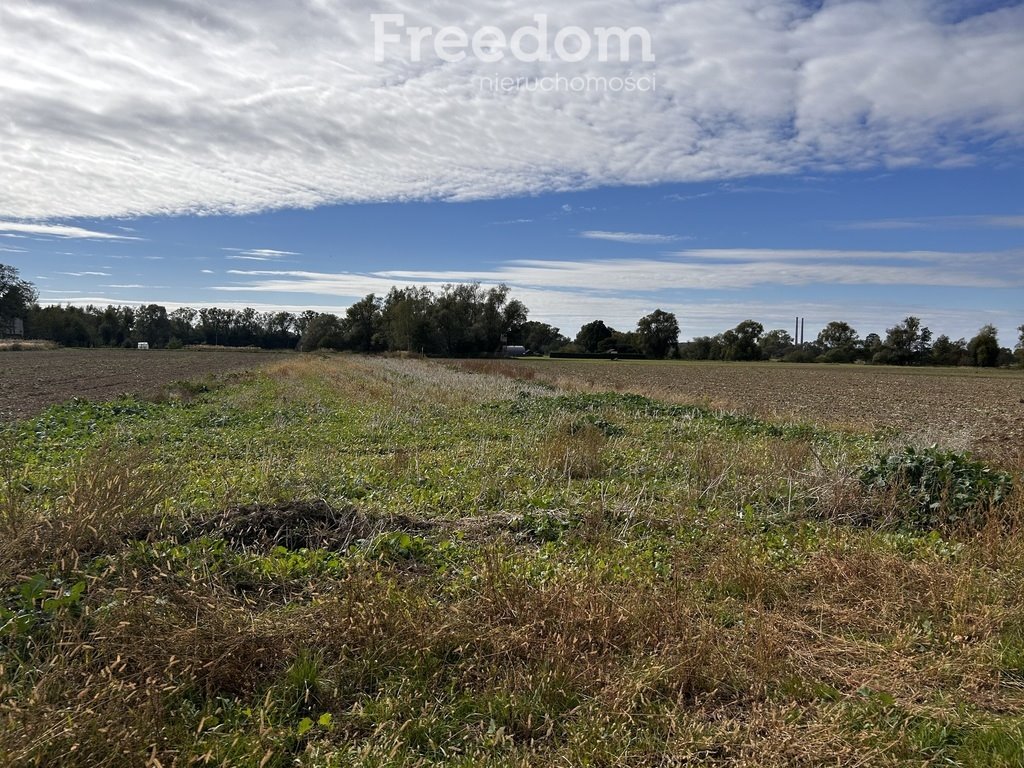 Działka rolna na sprzedaż Dwory Drugie  1 905m2 Foto 2