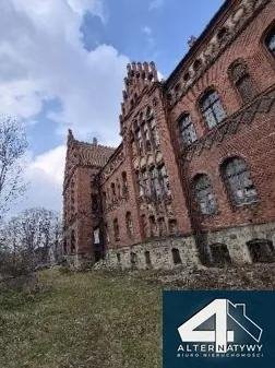 Zabytkowy pałac w centrum Pszczyny z dużym potencjałem inwestycyjnym Pszczyna, Antesa 4  9 042m2 Foto 1