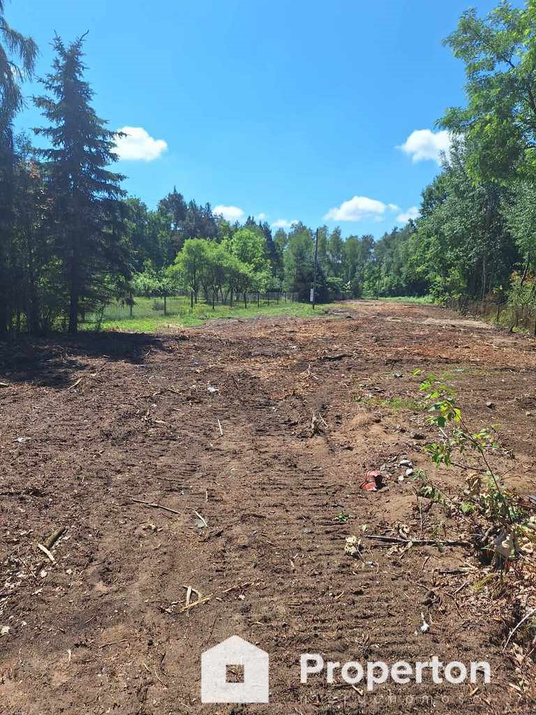 Działka inna na sprzedaż Izabela, Postępu  5 000m2 Foto 3