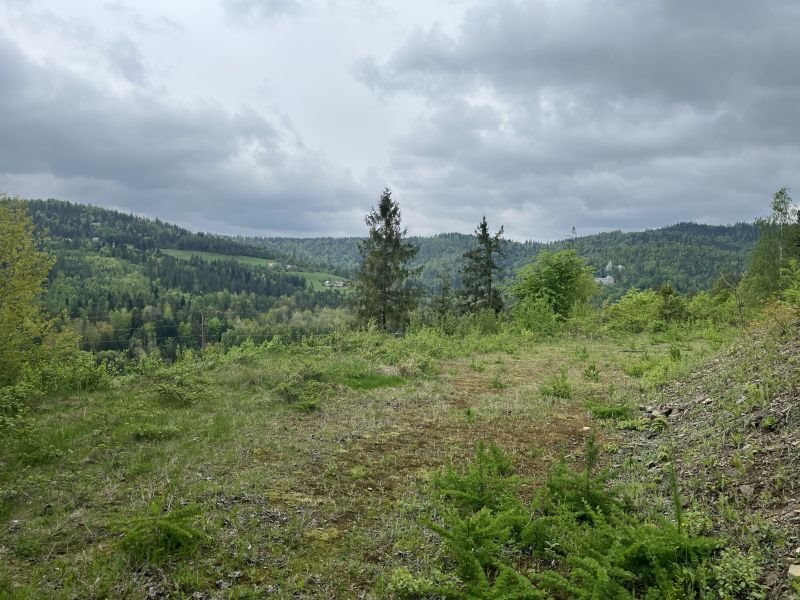 Działka budowlana na sprzedaż Wisła, Wisła  1 408m2 Foto 3