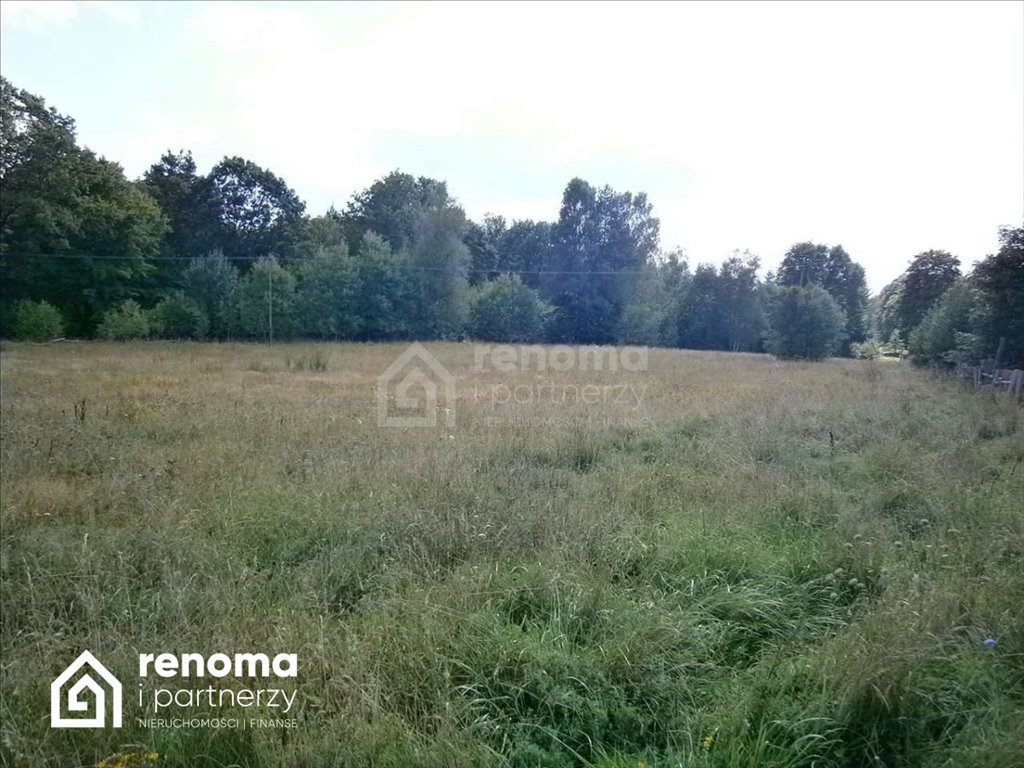 Działka siedliskowa na sprzedaż Dąbrowa  4 753m2 Foto 4