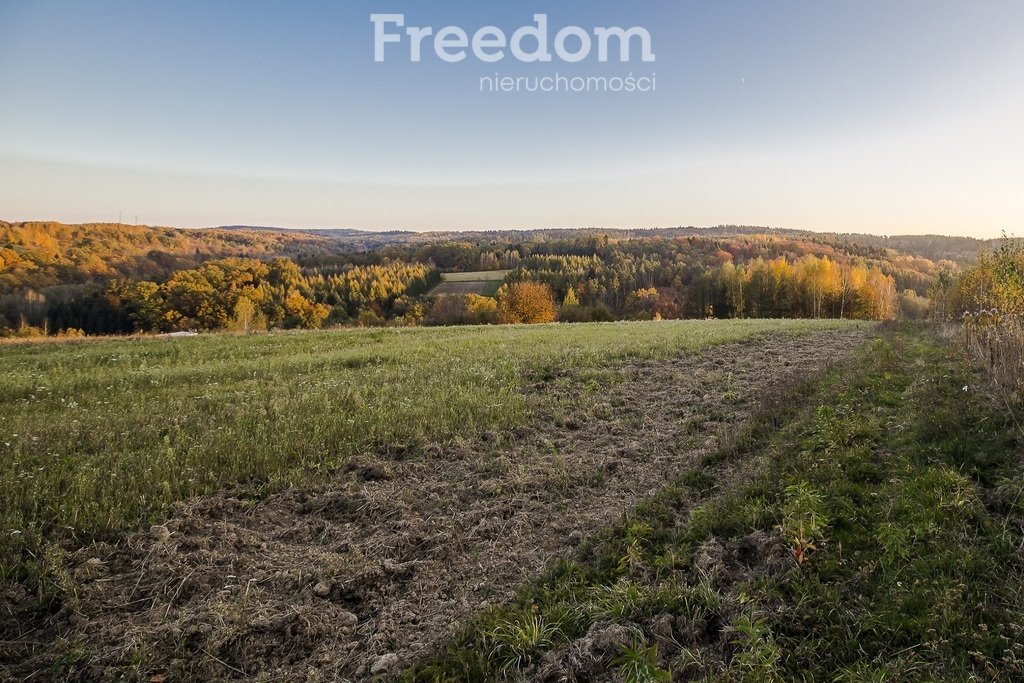 Działka rekreacyjna na sprzedaż Hyżne  892m2 Foto 2