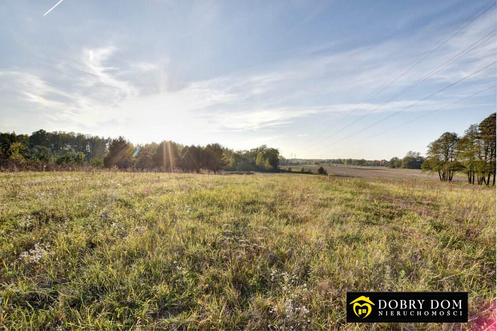 Działka budowlana na sprzedaż Olmonty  1 200m2 Foto 3