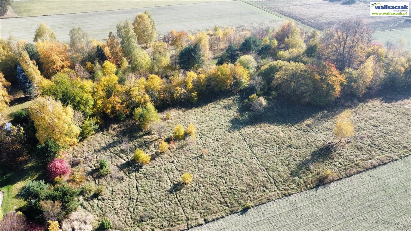 Działka budowlana na sprzedaż Koło  7 469m2 Foto 1