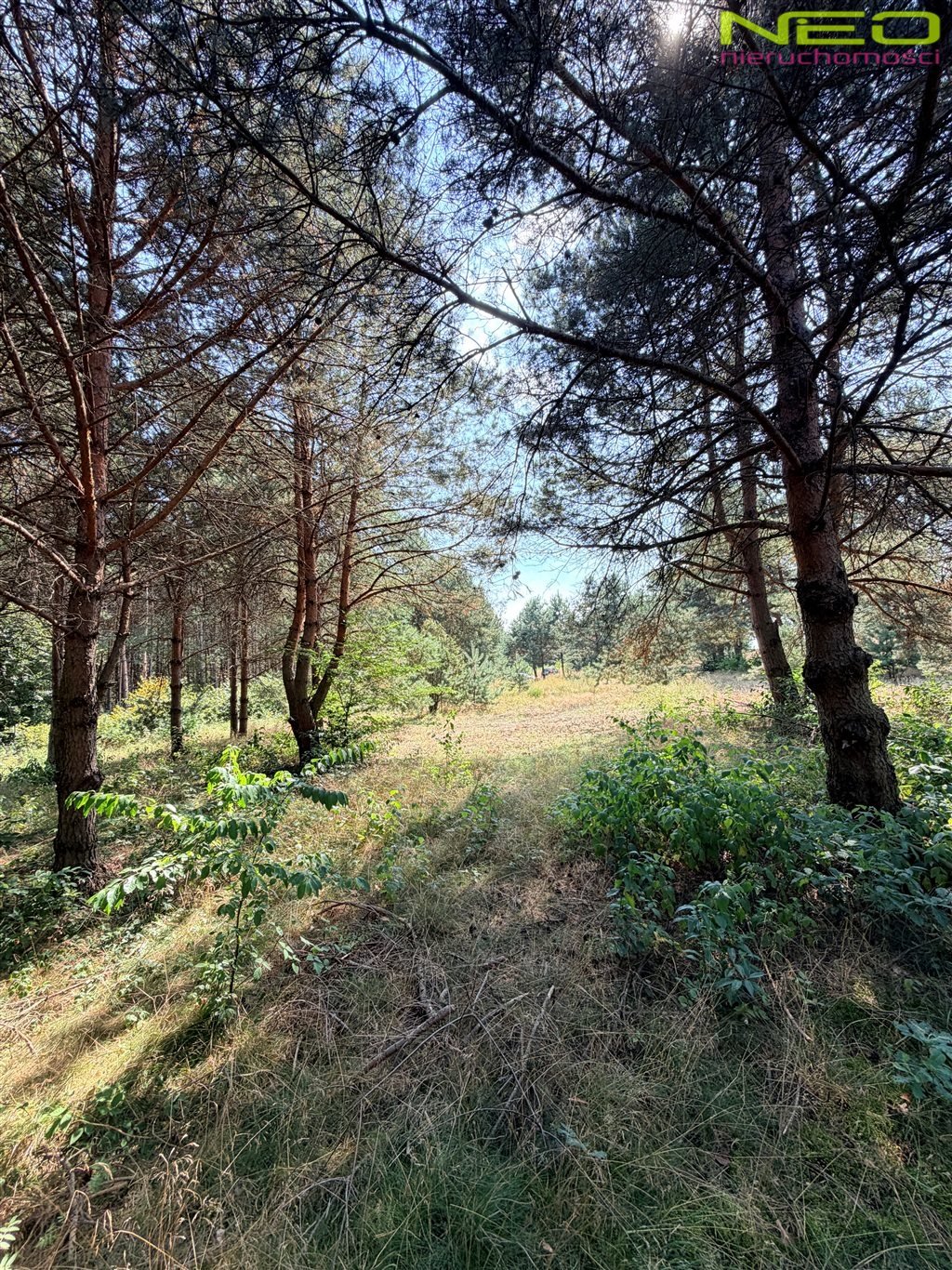 Polecam działkę 2866 m² w Biskupicach z lasem i rezerwatem Biskupice  2 866m2 Foto 1