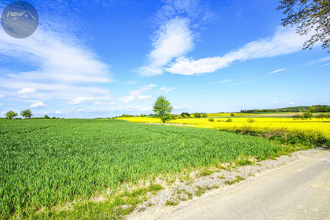 Działka budowlana na sprzedaż Wirki  2 197m2 Foto 8