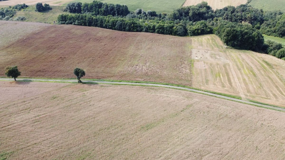 Działka rekreacyjna na sprzedaż Skłudzewo  1 504m2 Foto 1