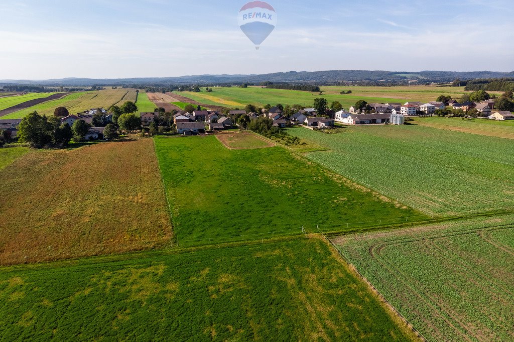 Działka rolna na sprzedaż Lgota Wolbromska  43 724m2 Foto 14