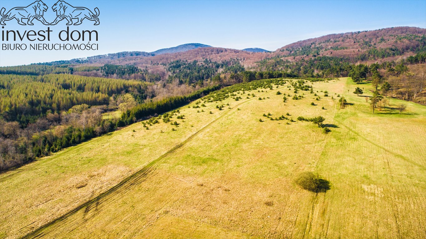 Działka budowlana na sprzedaż Wysowa-Zdrój  1 047m2 Foto 15