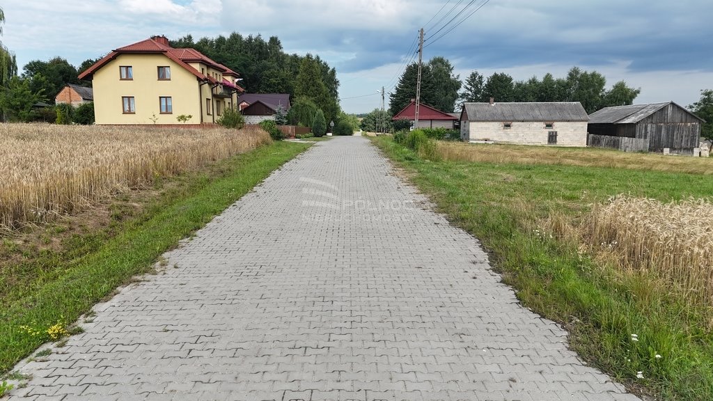 Działka siedliskowa na sprzedaż Boża Wola  9 100m2 Foto 11