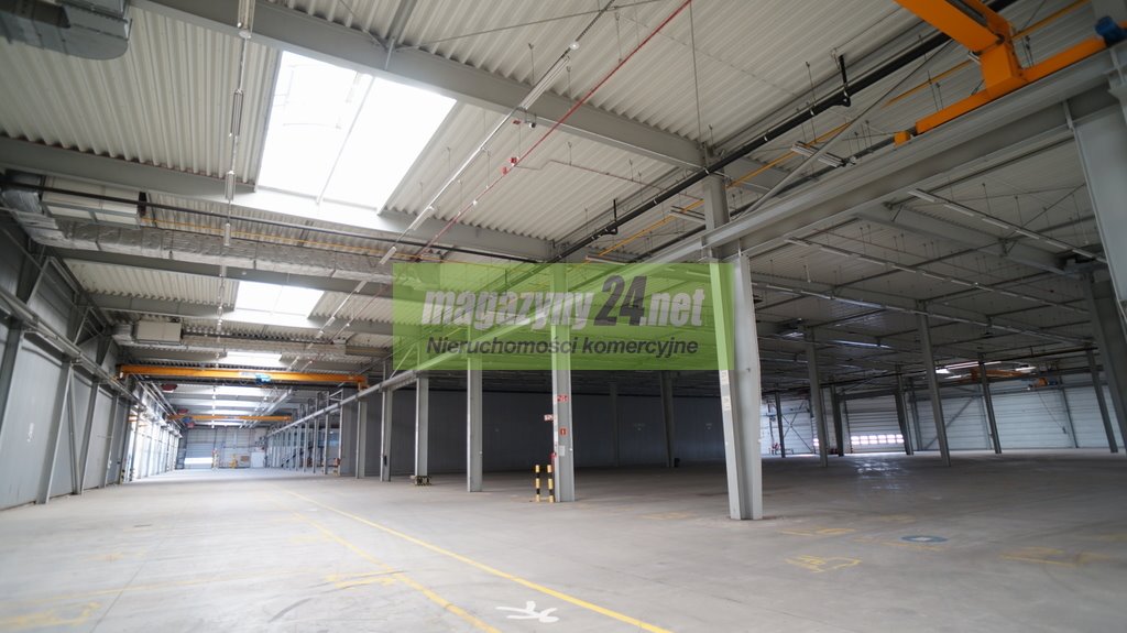 Magazyn na sprzedaż Piaseczno  33 000m2 Foto 2