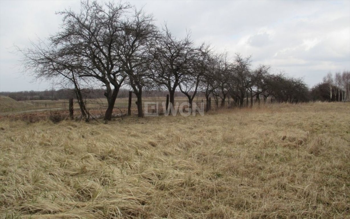 Działka rolna na sprzedaż Myszków, Myszków  6 274m2 Foto 4