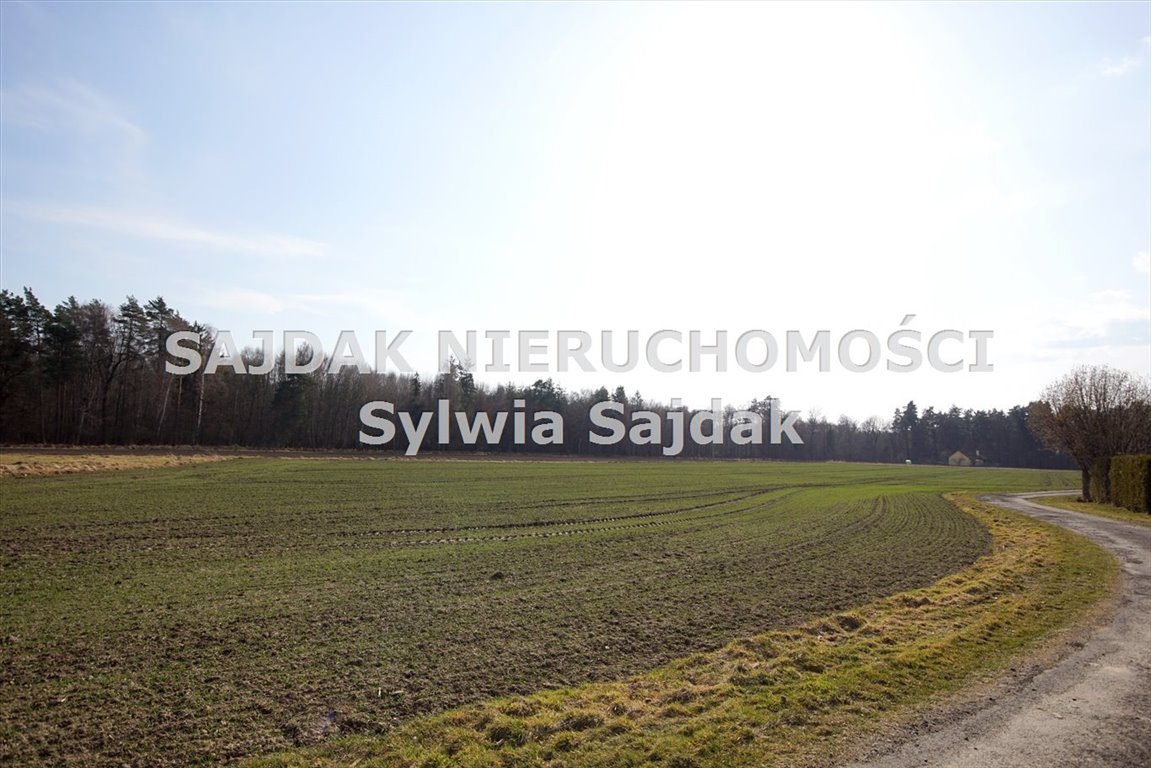 Działka 3855 m² z mediami, las i stawy w Kiczycach Kiczyce  3 855m2 Foto 1