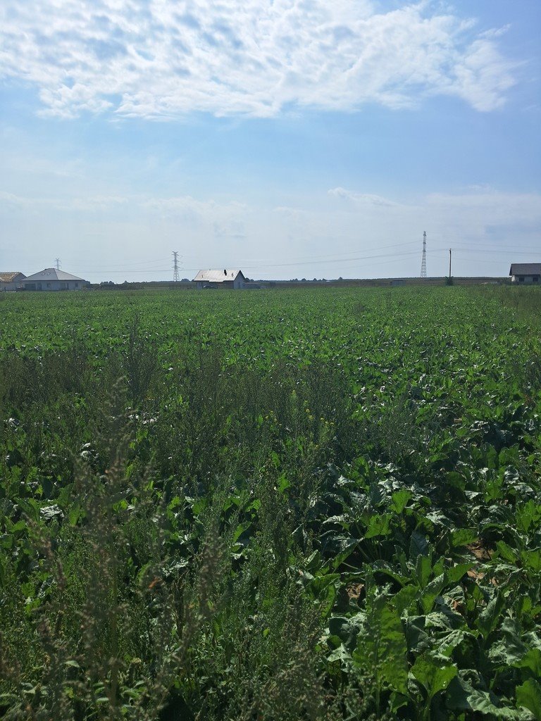 Działka budowlana 1594 m² w Puchaczowie – idealna pod dom Puchaczów  1 594m2 Foto 1