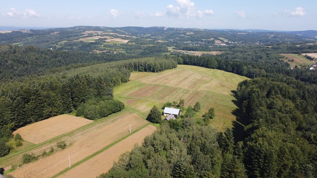 Działka budowlana na sprzedaż Lutcza  96 200m2 Foto 1