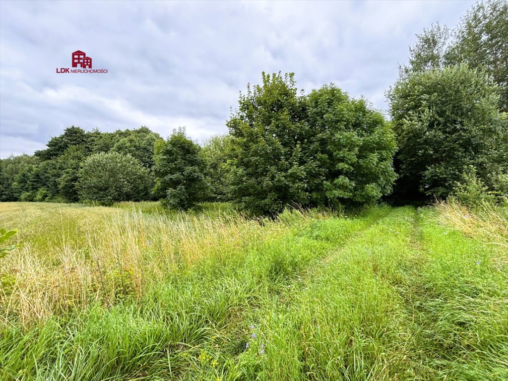 Działka siedliskowa na sprzedaż Mierzeszyn, Gdańska  11 097m2 Foto 3