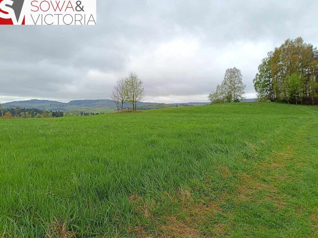 Działka budowlana na sprzedaż Bartnica  3 173m2 Foto 1