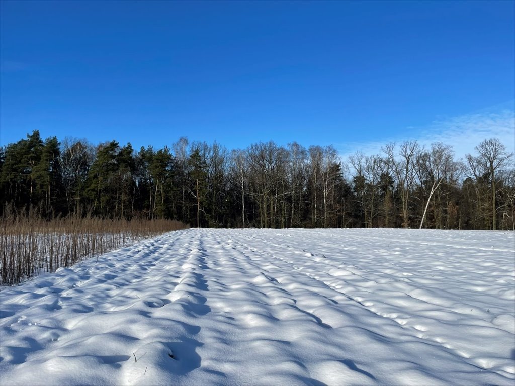 Działka budowlana na sprzedaż Kowalewko, Szyjki  1 070m2 Foto 6