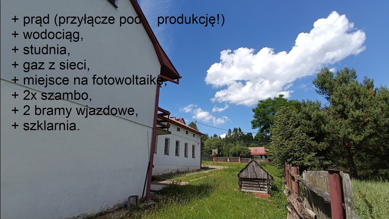 Magazyn na sprzedaż Mostki  7 000m2 Foto 13