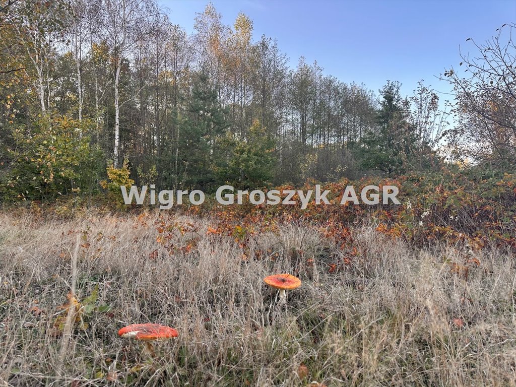 Działka budowlana 2000 m² z lasem i mediami w Leoncinie Leoncin  2 000m2 Foto 1