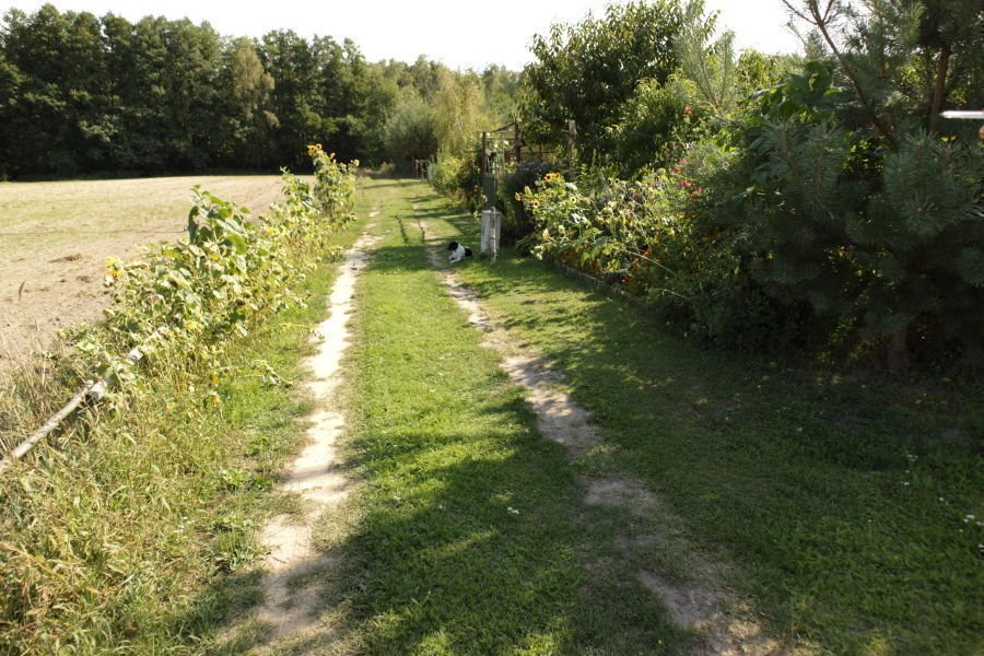 Działka rekreacyjna pod dzierżawę Lubowo, Lubowo  500m2 Foto 1