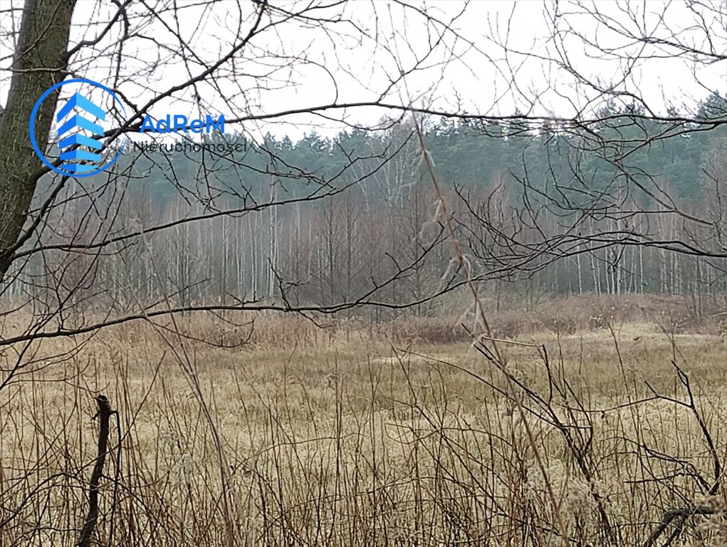 Działka budowlana na sprzedaż Nowy Prażmów  28 600m2 Foto 7