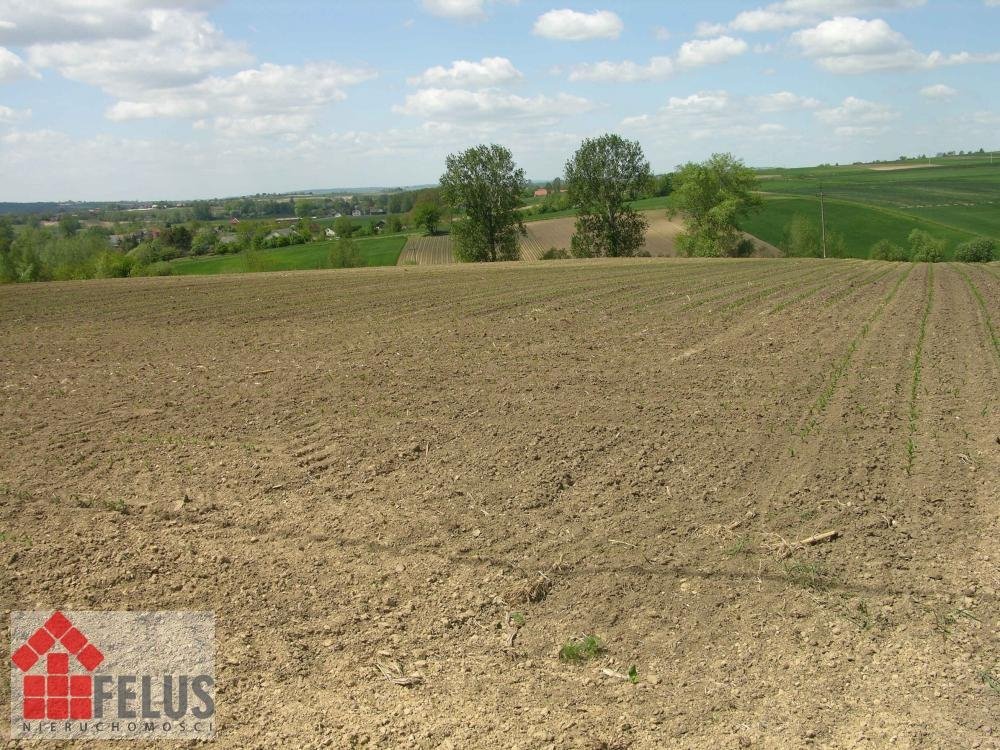 Działka inna na sprzedaż Opatkowice  5 000m2 Foto 1