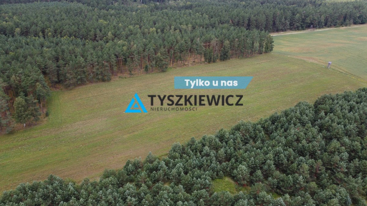 Działka rolna na sprzedaż Brzezinka  35 700m2 Foto 1