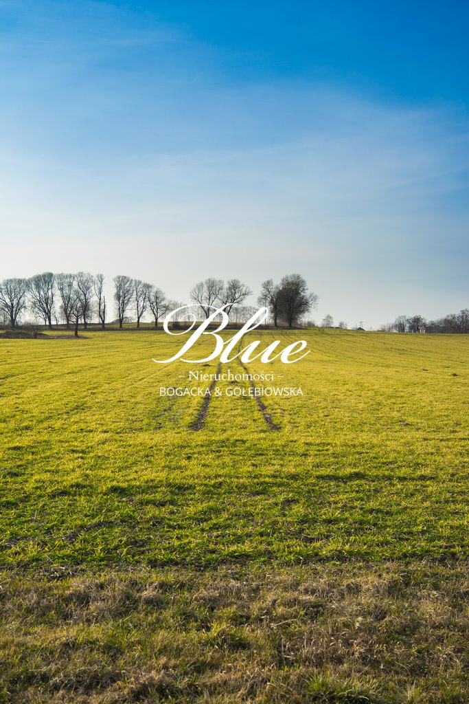 Działka rolna na sprzedaż Karwowo  5 000m2 Foto 1