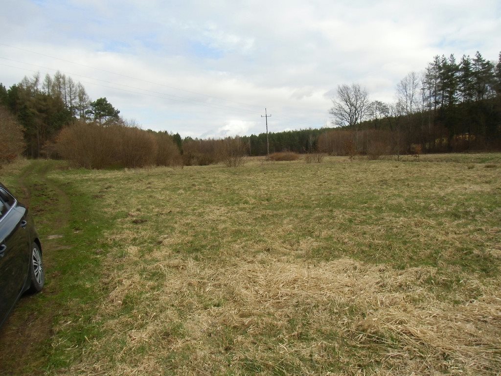 Działka rolna na sprzedaż Tawęcino  136 800m2 Foto 4