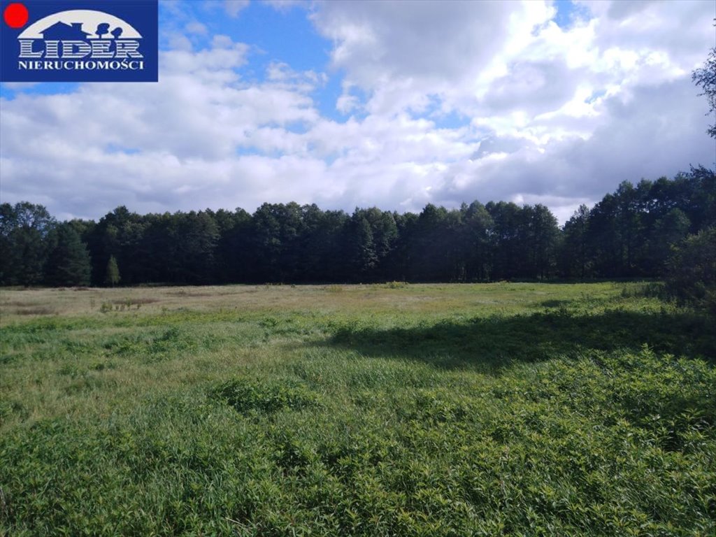Działka rolna na sprzedaż Łęczno  65 916m2 Foto 1