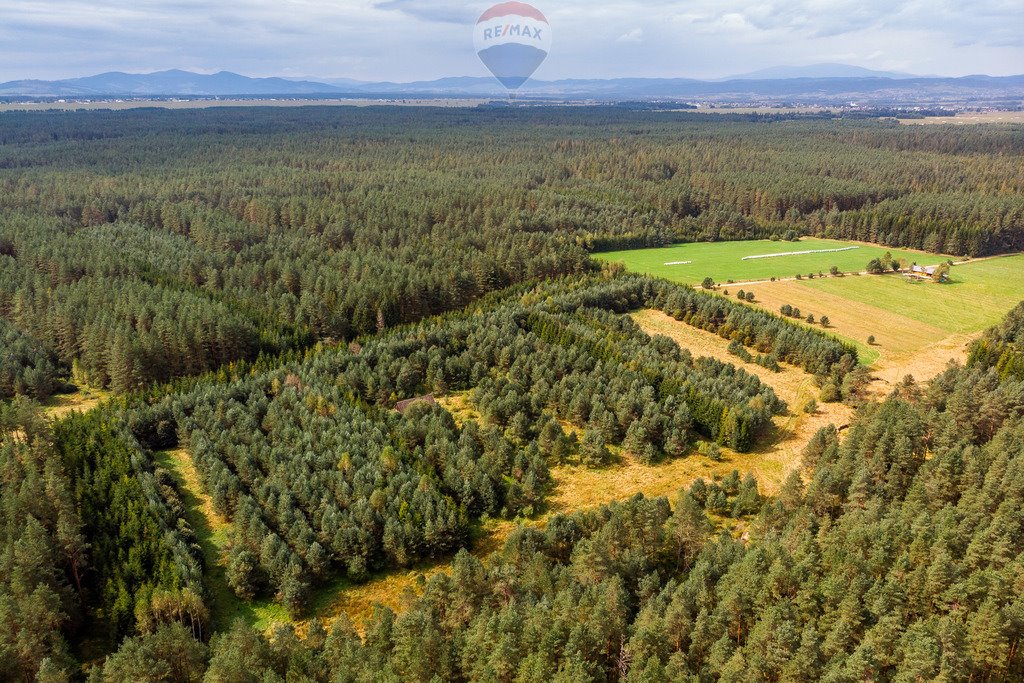 Działka rolna na sprzedaż Jabłonka, Leśna  20 000m2 Foto 13