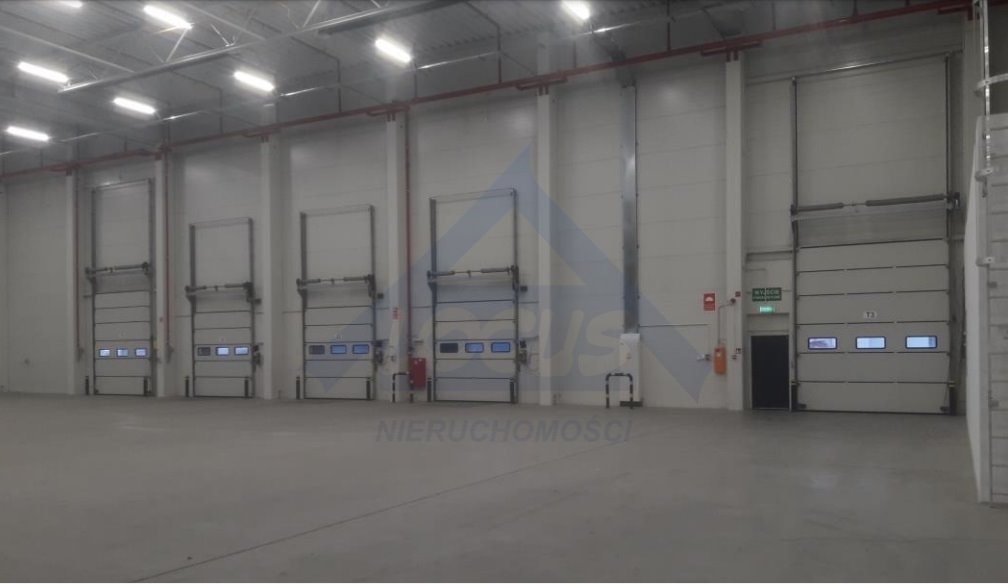 Zapraszam do wynajmu nowoczesnego magazynu 3,5 tys. m² z dokami Duchnice  3 500m2 Foto 1