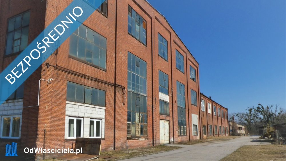 Lokal użytkowy na sprzedaż Ciechów  16 000m2 Foto 4