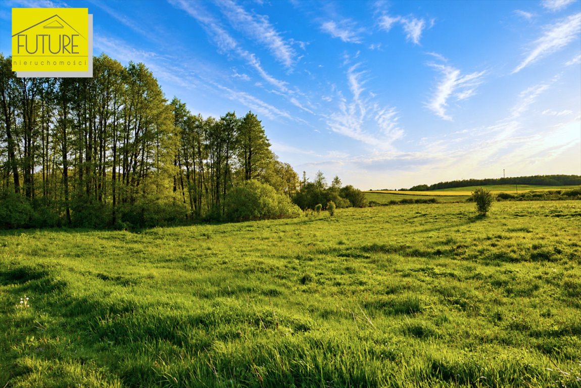 Działka rekreacyjna 1064 m² blisko jeziora Ruda Woda Liksajny  1 064m2 Foto 1