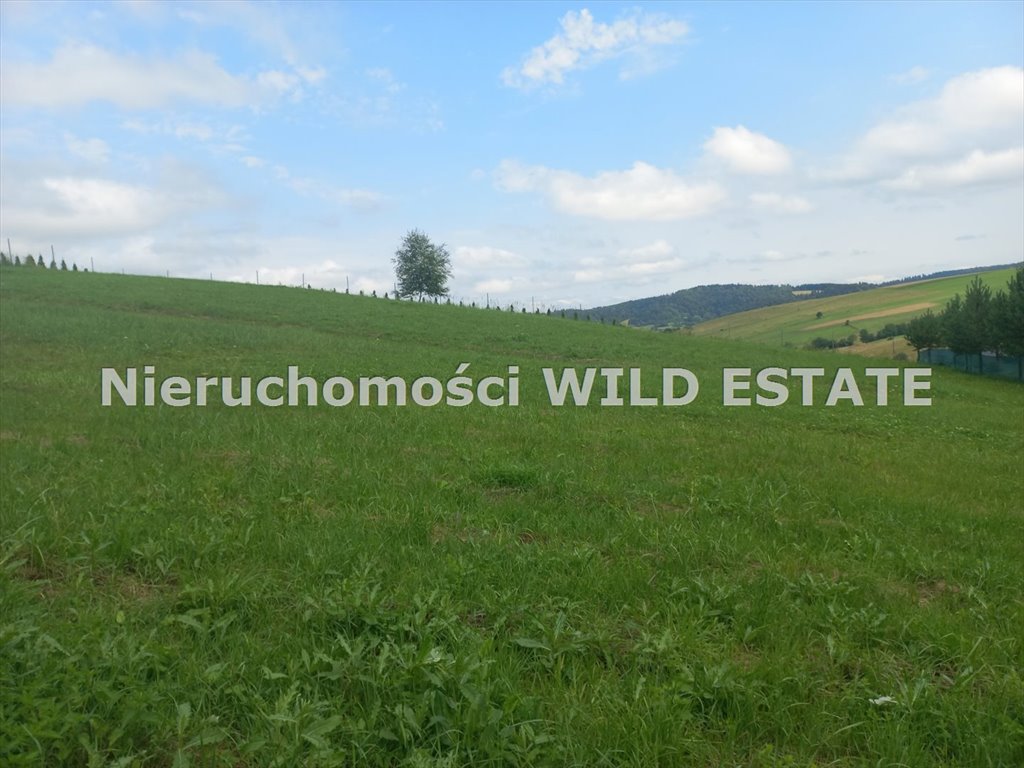 Działka budowlana na sprzedaż Baligród, Mchawa  2 171m2 Foto 2