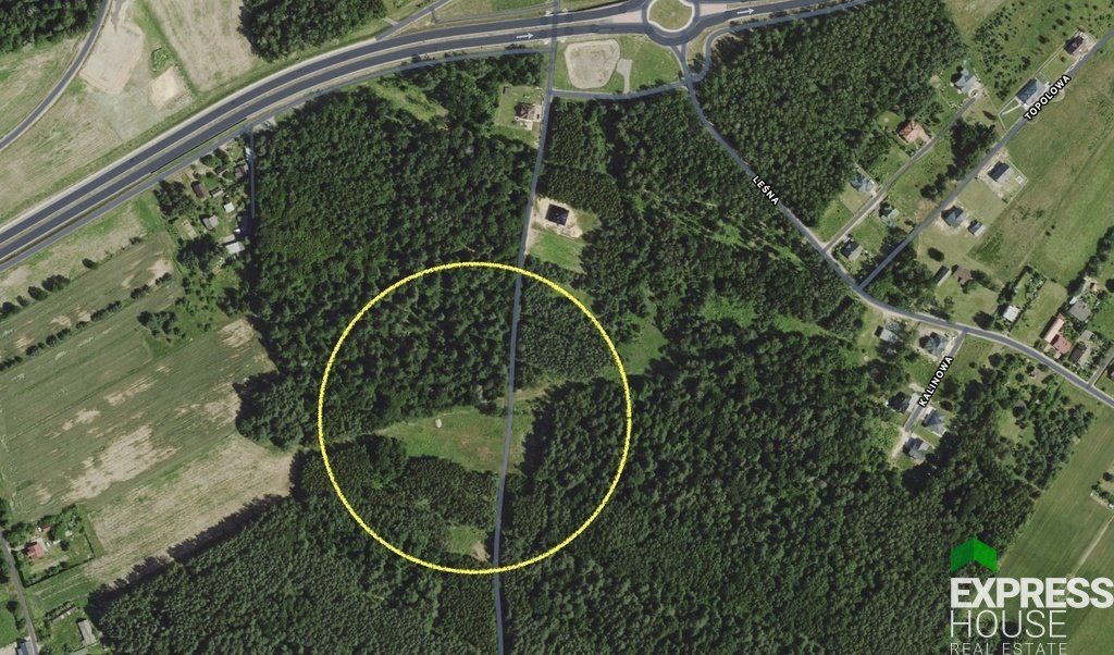 Działka siedliskowa 7 795 m² z lasem i mediami Markowszczyzna  7 795m2 Foto 1