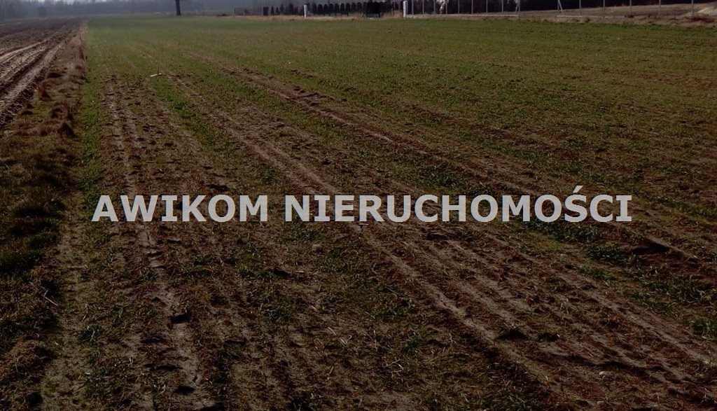 Działka 6700 m² z możliwością zabudowy i podziału - zapraszam Budy Trzcińskie  6 700m2 Foto 1